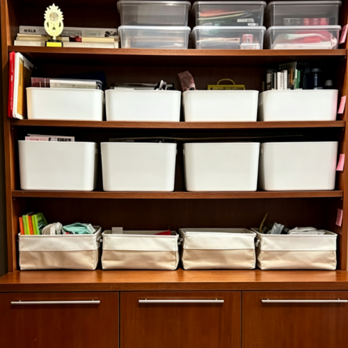 Systematic organization of all household items